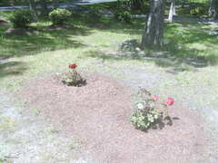 Image file: photo05.jpg