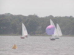 Image file: photo29.jpg