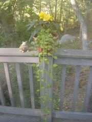 Image file: photo03.jpg