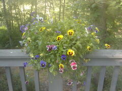 Image file: photo04.jpg