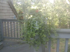 Image file: photo05.jpg