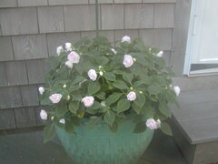 Image file: photo07.jpg