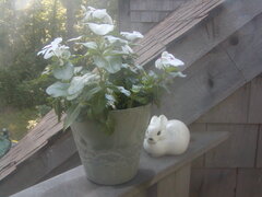 Image file: photo08.jpg