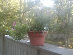 Image file: photo09.jpg