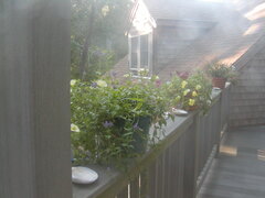 Image file: photo16.jpg