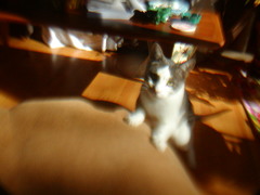 Image file: photo01.jpg