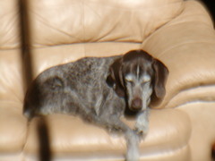 Image file: photo06.jpg