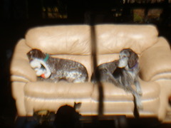 Image file: photo08.jpg