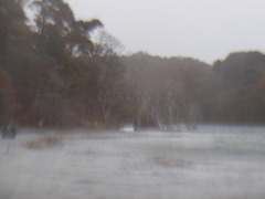 Image file: photo11.jpg