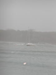 Image file: photo13.jpg