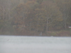 Image file: photo22.jpg