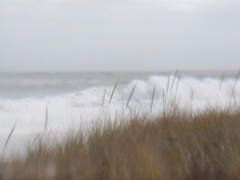 Image file: photo05.jpg