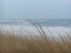 Image file: photo09.jpg