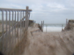 Image file: photo14.jpg