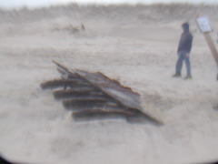 Image file: photo03.jpg