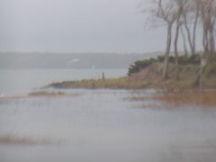 Image file: photo08.jpg