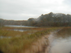 Image file: photo18.jpg