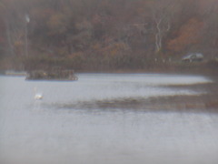 Image file: photo20.jpg