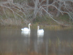 Image file: photo26.jpg