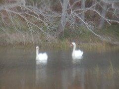 Image file: photo27.jpg