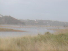 Image file: photo07.jpg