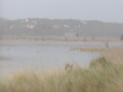 Image file: photo08.jpg