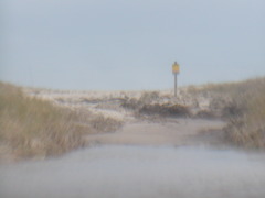 Image file: photo09.jpg