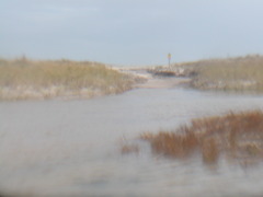 Image file: photo10.jpg