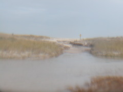 Image file: photo11.jpg