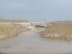 Image file: photo13.jpg