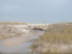 Image file: photo15.jpg