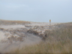 Image file: photo16.jpg