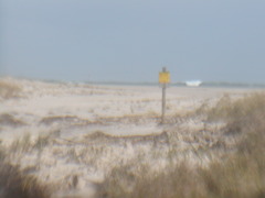 Image file: photo18.jpg