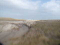 Image file: photo19.jpg