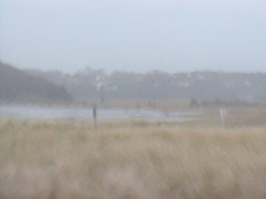 Image file: photo23.jpg