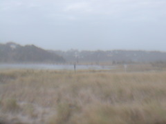 Image file: photo24.jpg