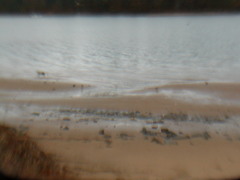 Image file: photo08.jpg