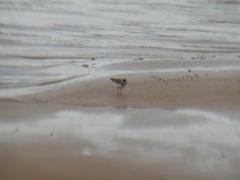 Image file: photo09.jpg