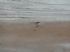 Image file: photo10.jpg