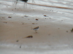 Image file: photo11.jpg