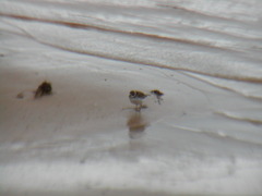 Image file: photo12.jpg