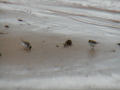 Image file: photo13.jpg