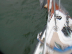 Image file: photo26.jpg