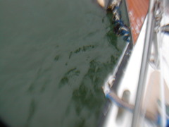 Image file: photo27.jpg