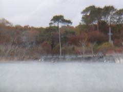 Image file: photo37.jpg