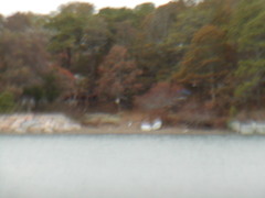 Image file: photo43.jpg