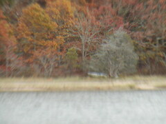 Image file: photo54.jpg