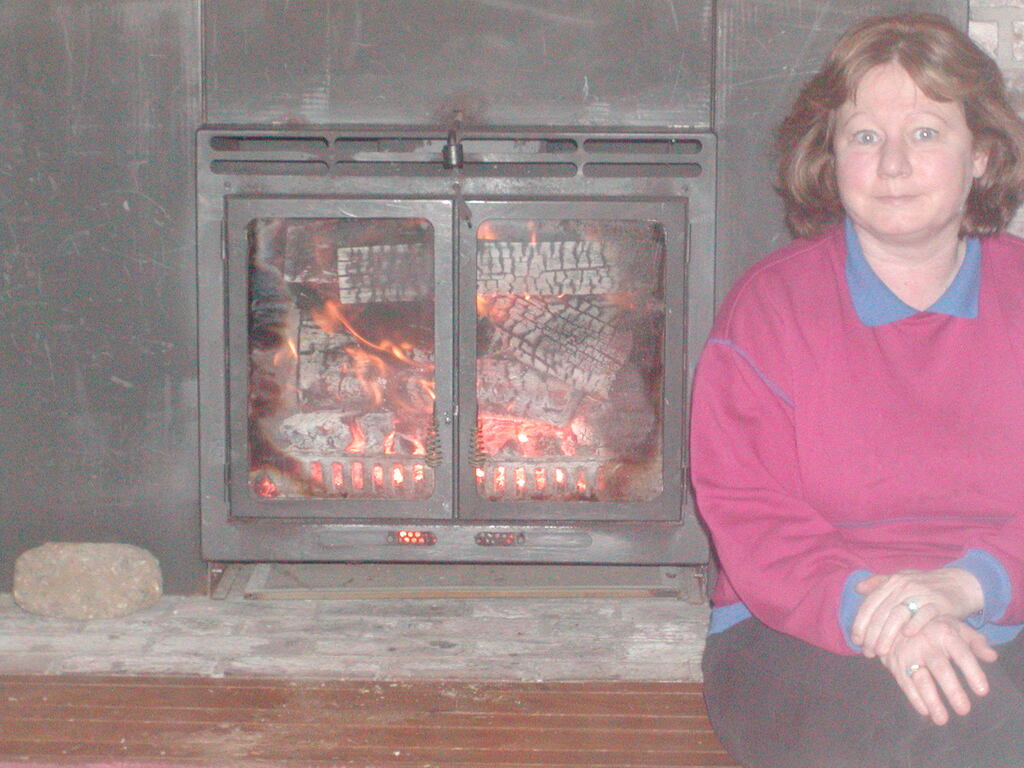 No description provided for: /2012/01-03/0114-woodstove/photo02.html