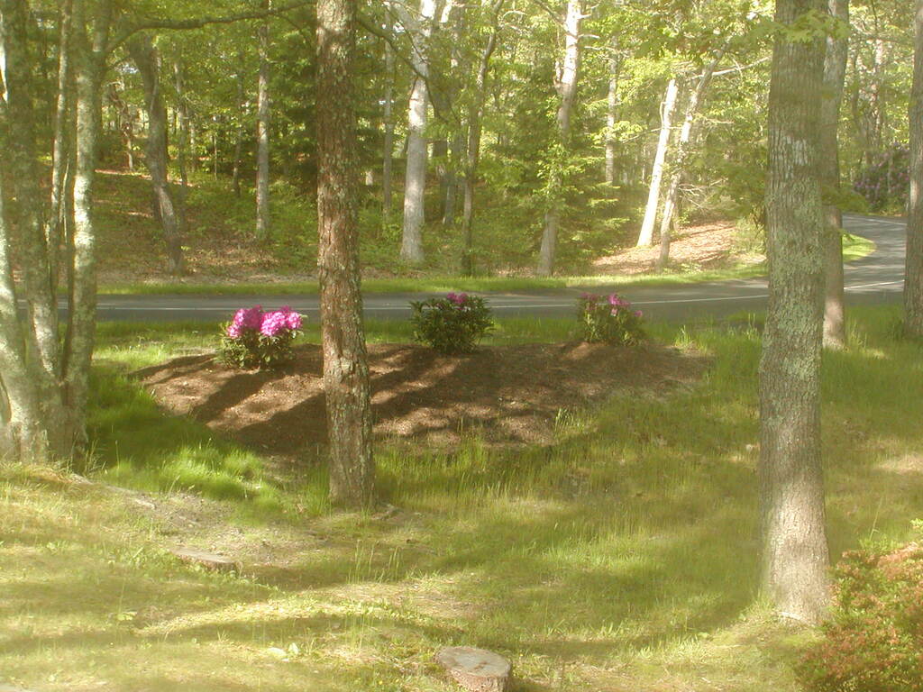 No description provided for: /2012/04-06/0527-rhodies/photo02.html