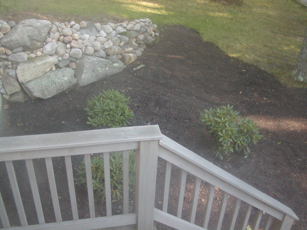 No description provided for: /2012/07-09/0802-deck-plants/photo12.html